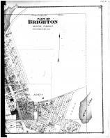 Brighton 1 - Right, Livingston County 1875